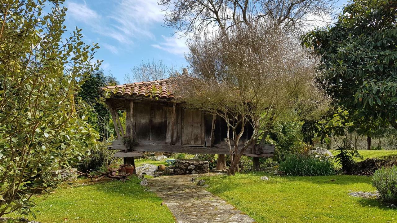Amaicha Apartamentos Rurales Ribadesella Luaran gambar